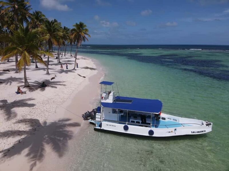 From La Romana: Saona Island for Aida Cruises Passengers - Practical Tips for Your Day