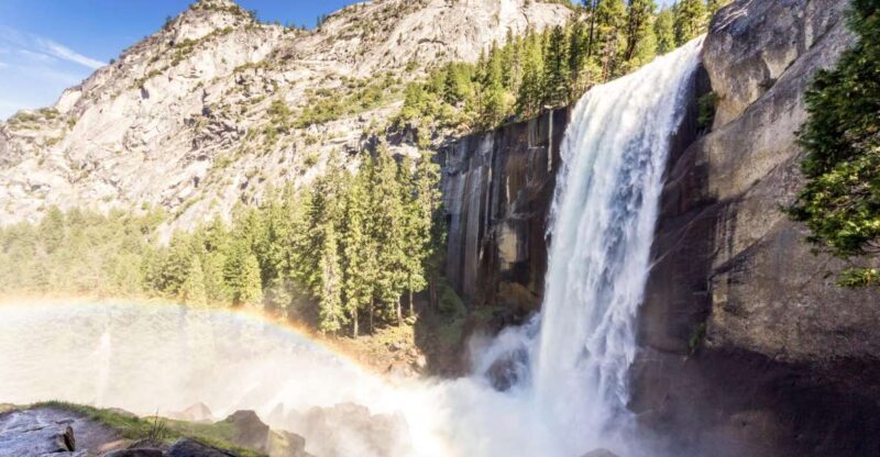 From Lake Tahoe: Yosemite National Park Day Trip with Lunch - The Value and Cost