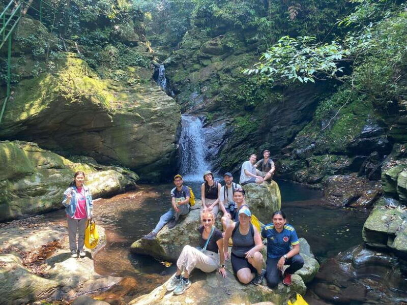 From Lang Co Beach/ Chan May Port: Bach Ma Trekking Tour - Introduction