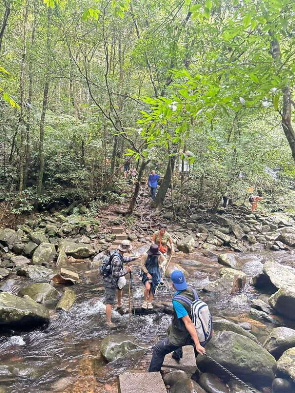 From Lang Co Beach/ Chan May Port: Bach Ma Trekking Tour - Reaching Bach Ma Peak and Hai Vong Dai