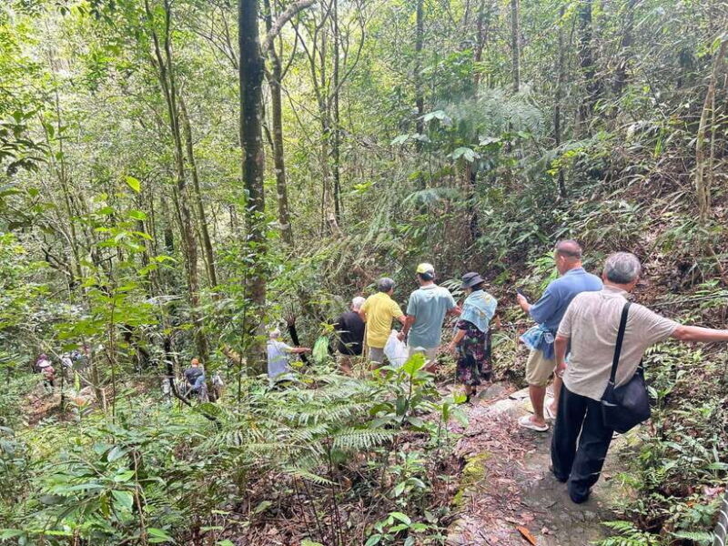 From Lang Co Beach/ Chan May Port: Bach Ma Trekking Tour - Practical Details and Value