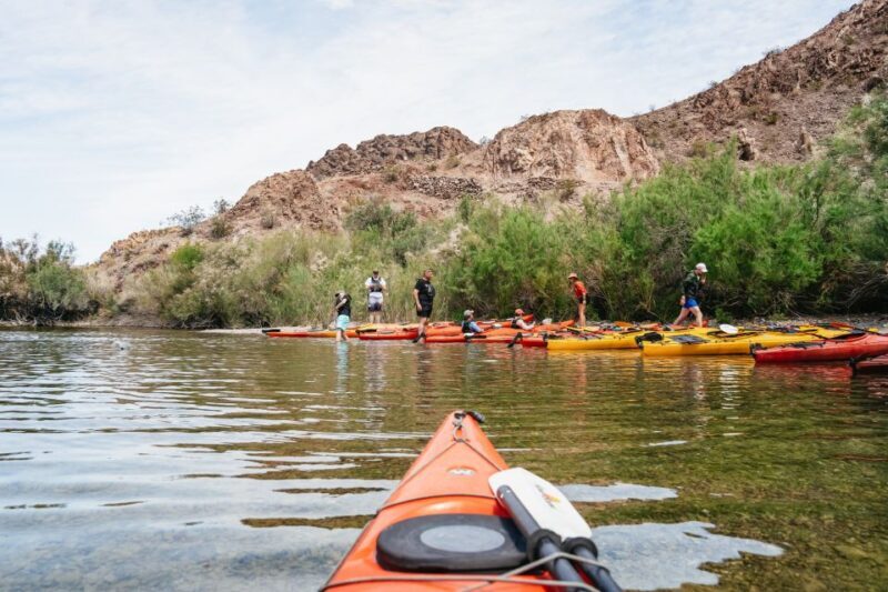 From Las Vegas: Black Canyon Half-Day Kayak Tour - The Guide Experience: Why It Matters