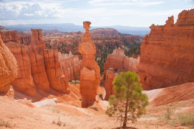 From Las Vegas: Bryce Canyon and Zion Park Tour with Lunch - Who Should Consider This Tour?