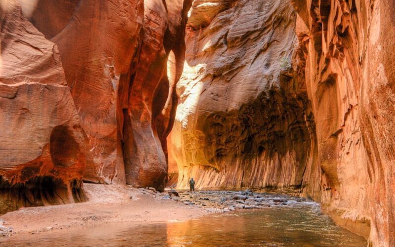From Las Vegas: Bryce Canyon and Zion Park Tour with Lunch - The Sum Up