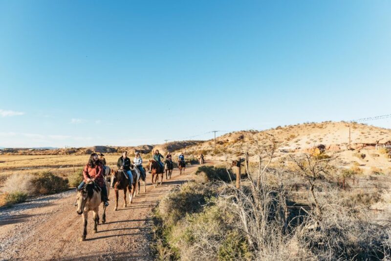 From Las Vegas: Desert Sunset Horseback Ride with BBQ Dinner - FAQ