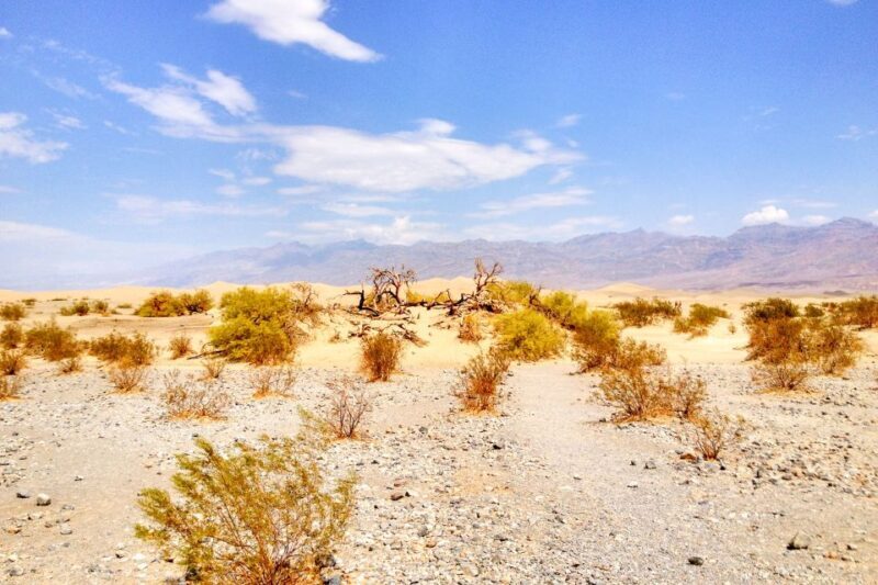 From Las Vegas: Ghost Town Wild West Adventures Day Trip - The Itinerary in Detail