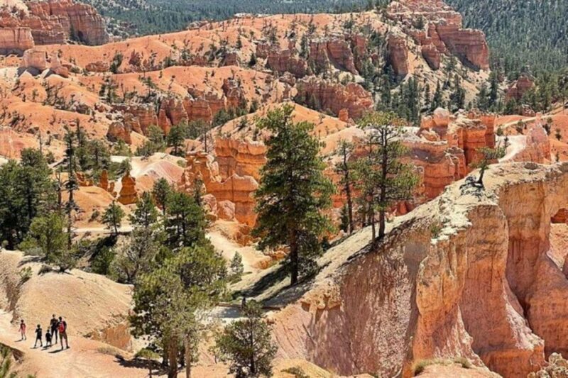 From Las Vegas: Private Tour to Zion National Park - The Itinerary — What to Expect on This Private Zion Tour