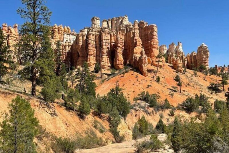 From Las Vegas: Private Tour to Zion National Park - How the Experience Feels — Authenticity and Practicality