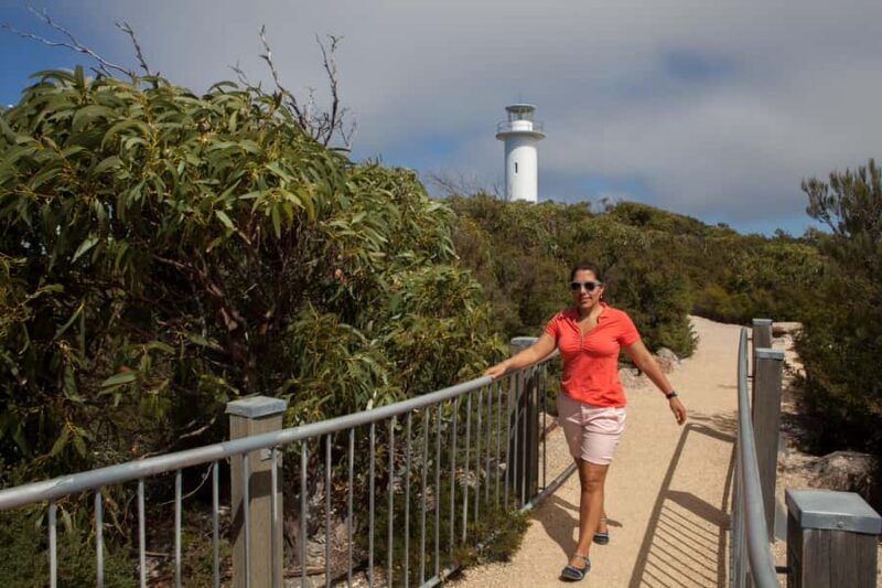 From Launceston: Full-Day Wineglass Bay Explorer Active Tour - Detailed Exploration of the Tour Itinerary