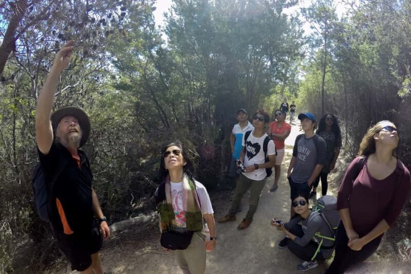 From Launceston: Full-Day Wineglass Bay Explorer Active Tour - Practical Tips for Participants