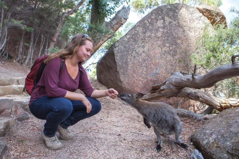From Launceston: Full-Day Wineglass Bay Explorer Active Tour - FAQ