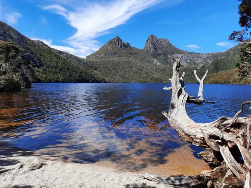 From Launceston: Sheffield Murals & Cradle Mountain Day Tour - Exploring the Itinerary in Detail