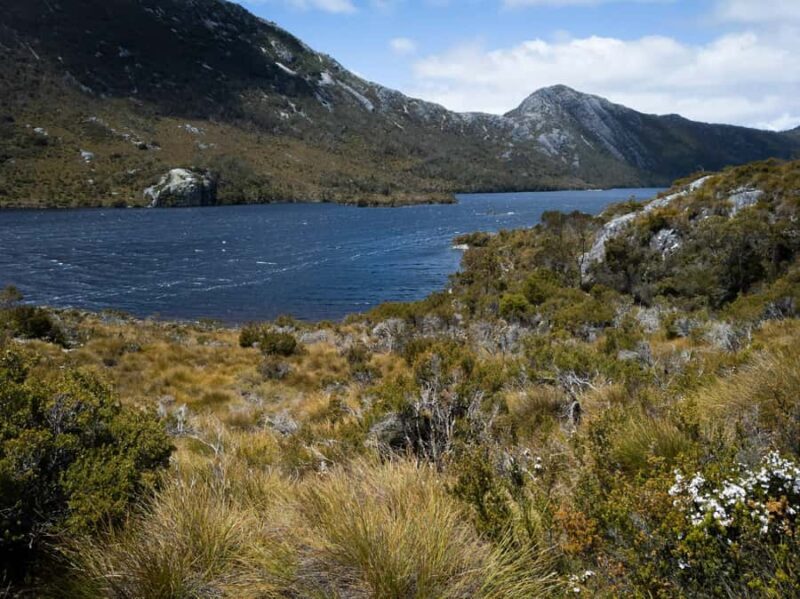 From Launceston: Sheffield Murals & Cradle Mountain Day Tour - Pricing and Overall Value
