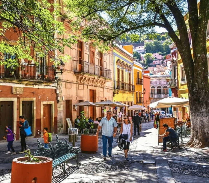 From Leon: Guanajuato Cultural Tour with Estudiantina Music - Inside the Experience: What Travelers Can Expect