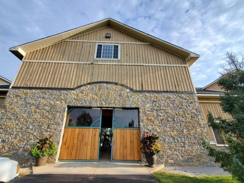 From Lexington: Kentucky Horse Farms Tour - Key Points