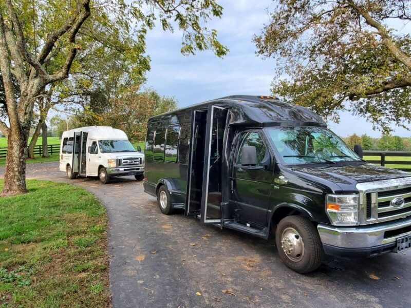 From Lexington: Kentucky Horse Farms Tour - Transportation and Group Experience