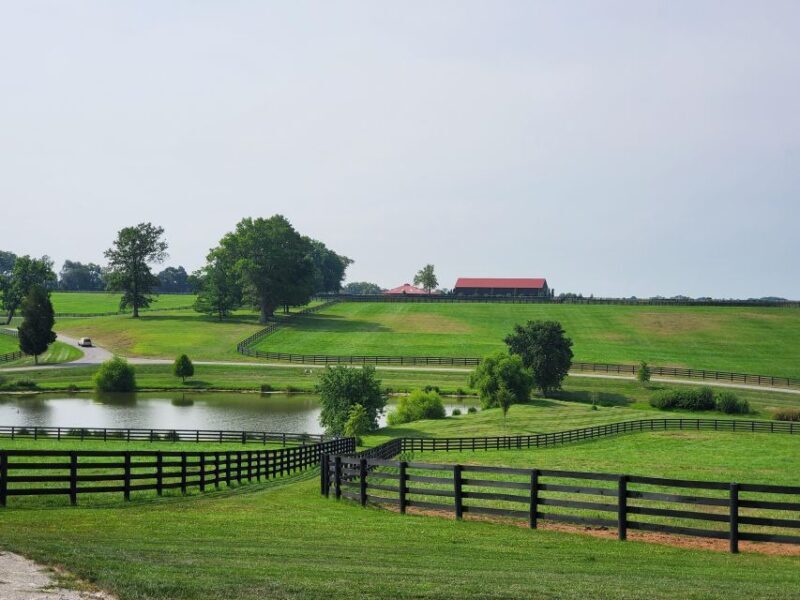 From Lexington: Kentucky Horse Farms Tour - Who Should Consider This Tour?