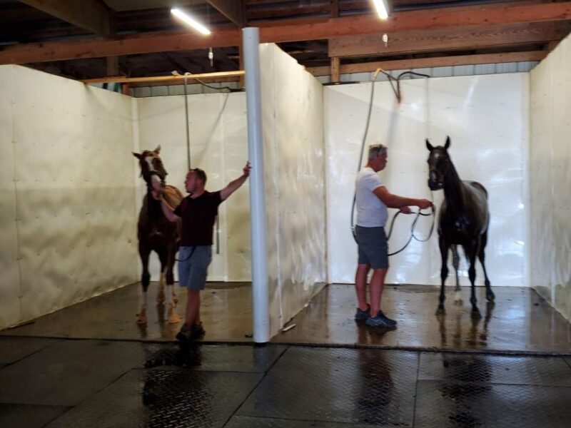 From Lexington: Kentucky Horse Farms Tour - The Sum Up: Why This Tour Matters