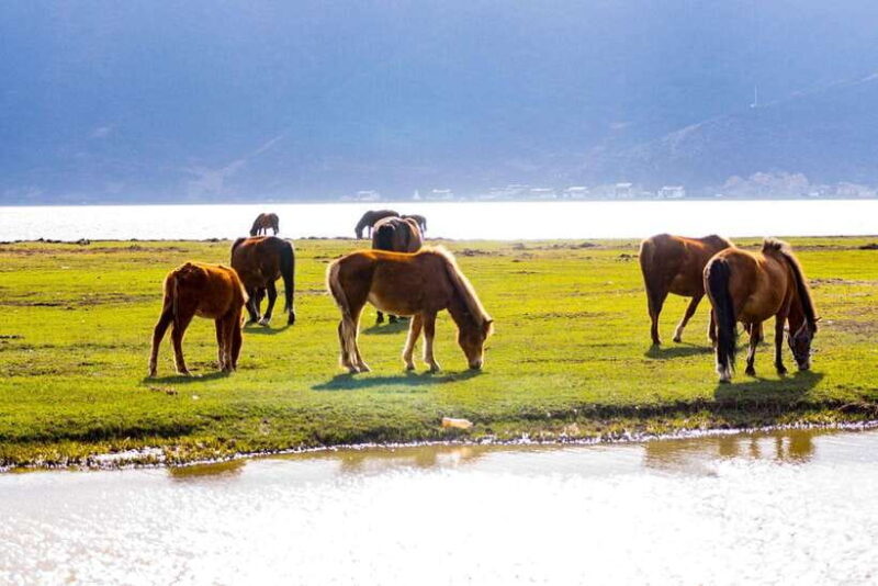 From Lijiang: 6-Day Lijiang to Shangri-La Adventure Tour - An In-Depth Look at the Itinerary