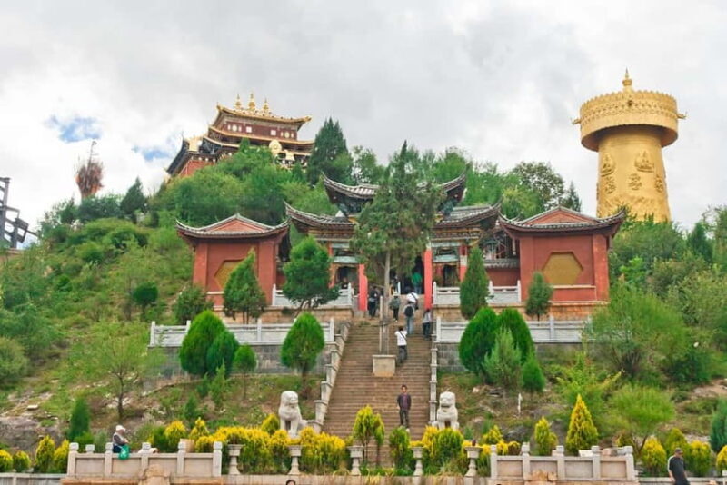 From Lijiang: 7-Day Tour of Lijiang, Shangri-La, and Dali - Day 2: Yulong Snow Mountain and Lashihai Wetland