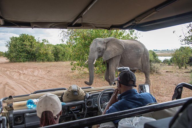 From Livingstone, Victoria Falls or Kasane - Chobe Day Tour - An In-Depth Look at the Chobe Day Tour