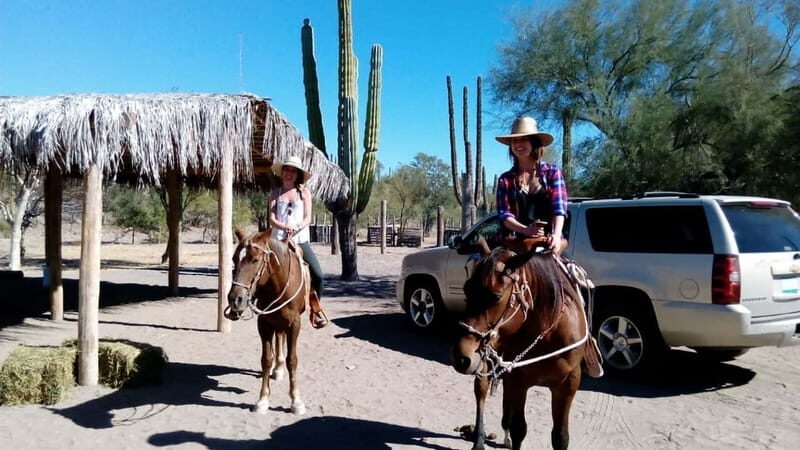 From Loreto: Baja Desert Horseback Riding Tour - Practical Tips for Travelers