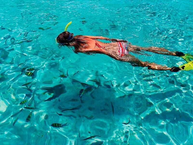 From Loreto: Coronado Island Snorkel - Starting Point and Duration