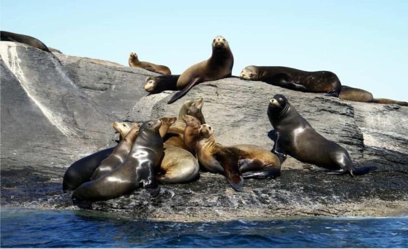 From Loreto: Coronado Island Snorkel - Food and Refreshments