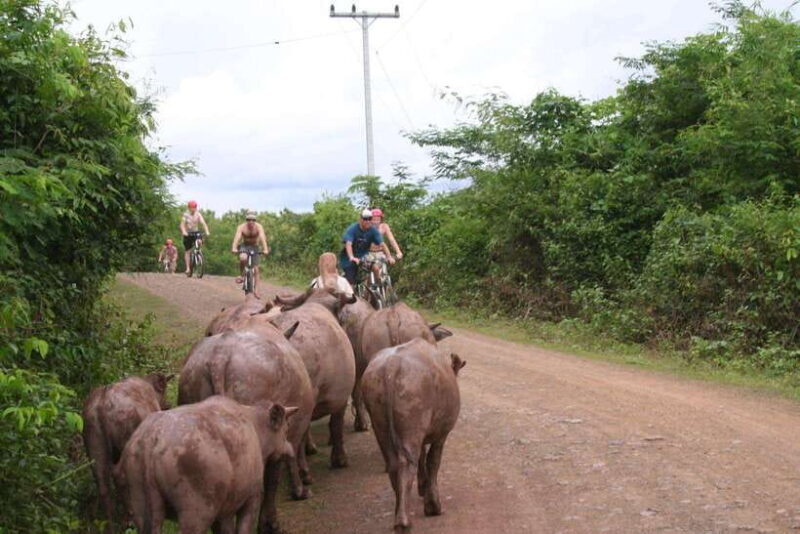 From Luang Prabang: Guided Mountain Bike Tour with Lunch - Highlights and Unique Stops