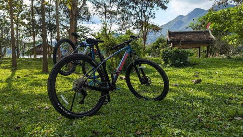 From Luang Prabang: Guided Mountain Bike Tour with Lunch - Practical Details: Cost, Duration, and Group Size