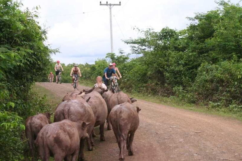 From Luang Prabang: Guided Mountain Bike Tour with Lunch - Who Will Love This Tour?