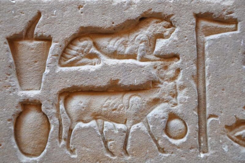 From Luxor: Private Edfu and Kom Ombo Temples Tour & Lunch - Final Thoughts