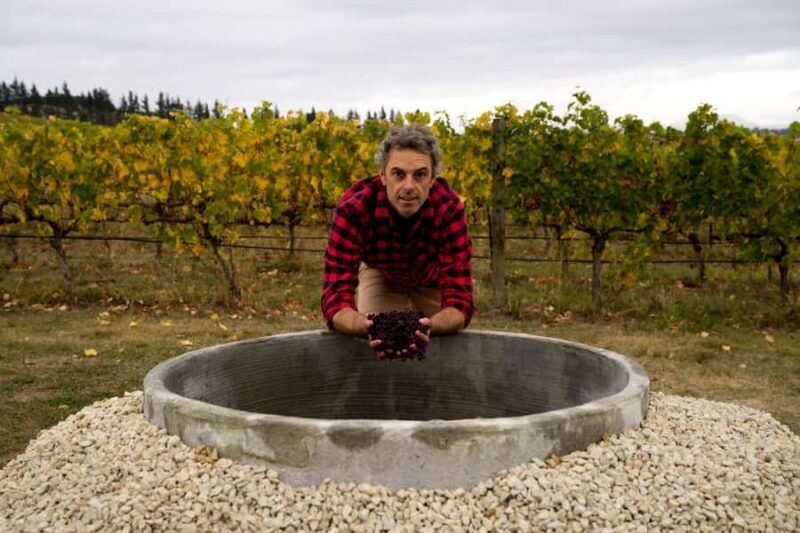 From Lyttelton: Private Wine Tour & Chefs Degustation - Practicalities and Considerations