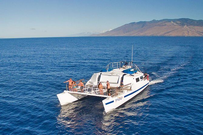 From Ma'alaea Harbor: Whale Watch Cruise Aboard the Malolo - An In-Depth Look at the Experience