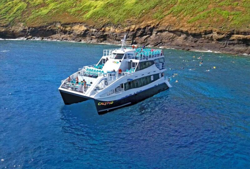 From Ma'alaea: Thanksgiving Dinner Cruise Aboard the Calypso - An In-Depth Look at the Thanksgiving Dinner Cruise