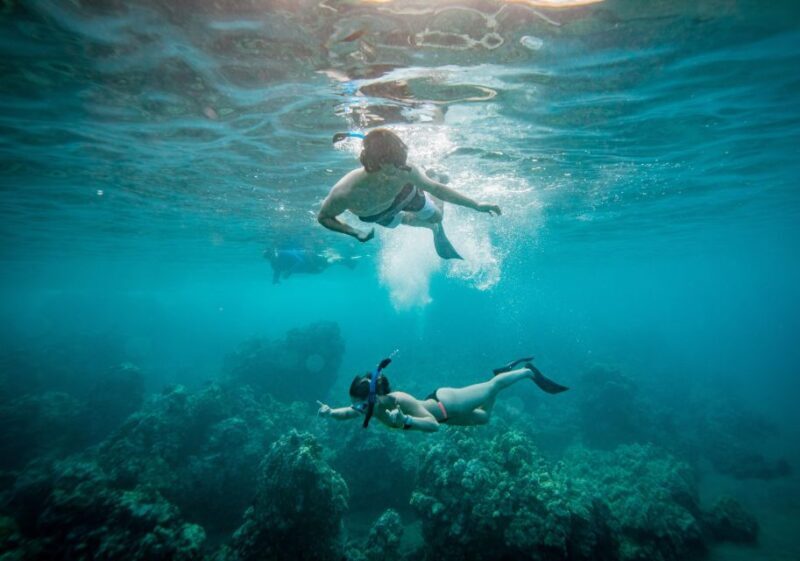 From Maalaea: Turtle Town 3-Hour Snorkel and Sail Adventure - Who Will Love This Tour?