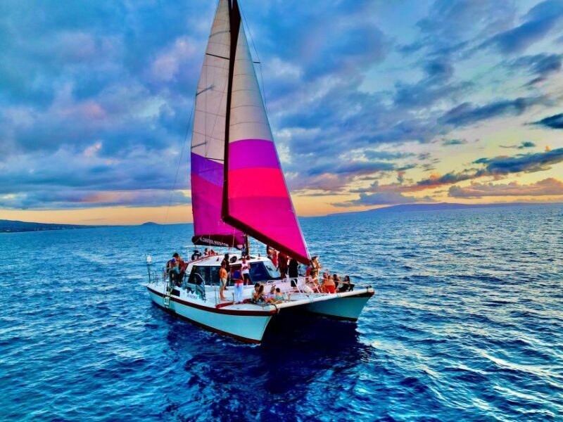 From Maalaea: Whale Watching Catamaran Cruise with Drinks - Key Points