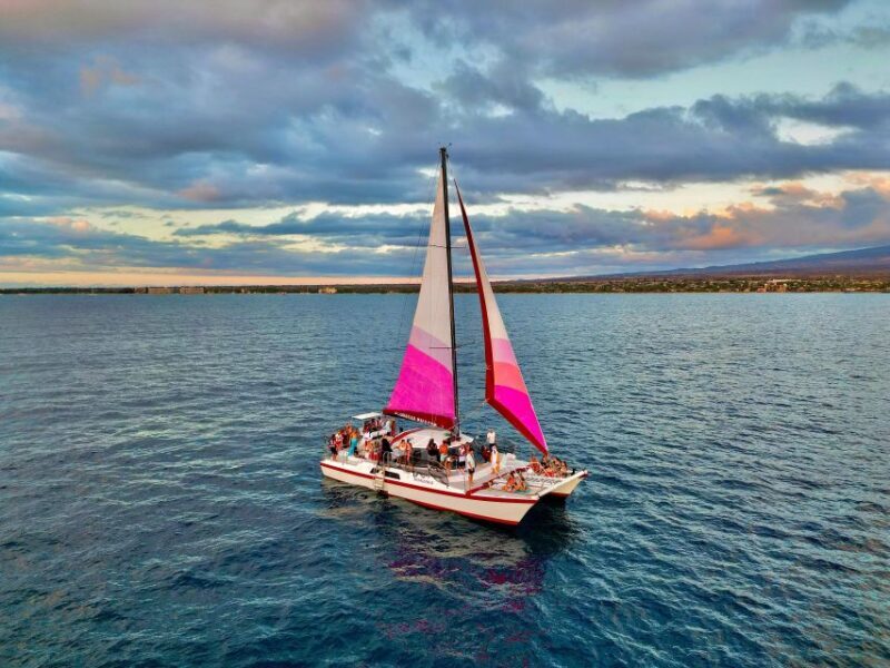 From Maalaea: Whale Watching Catamaran Cruise with Drinks - The Whale Encounters: Realistic Expectations
