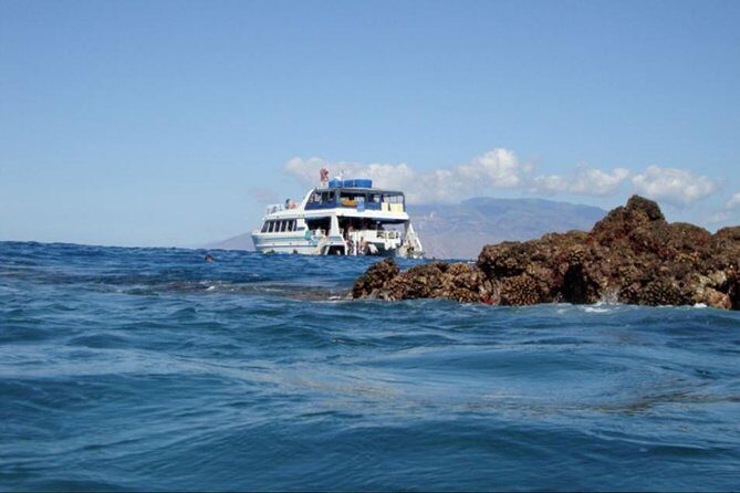 From Maalaea: Whale Watching Tour Aboard the Quicksilver - Who Should Take This Tour?