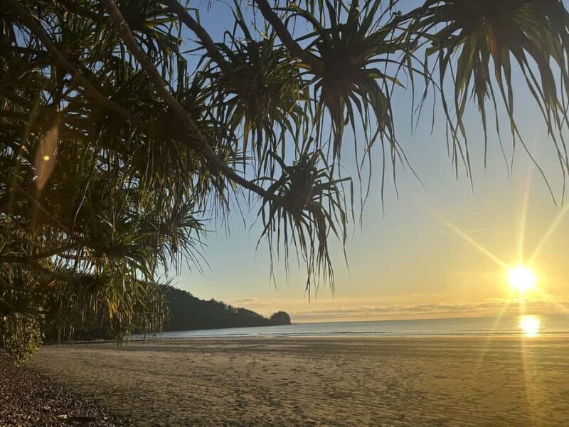 From Mackay: Wallabies on the Beach Sunrise Trip - Practical Details: What to Expect and How to Prepare