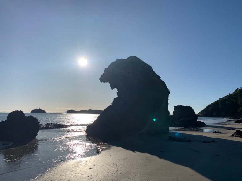 From Mackay: Wallabies on the Beach Sunrise Trip - The Sum Up: Why This Tour Is a Great Choice