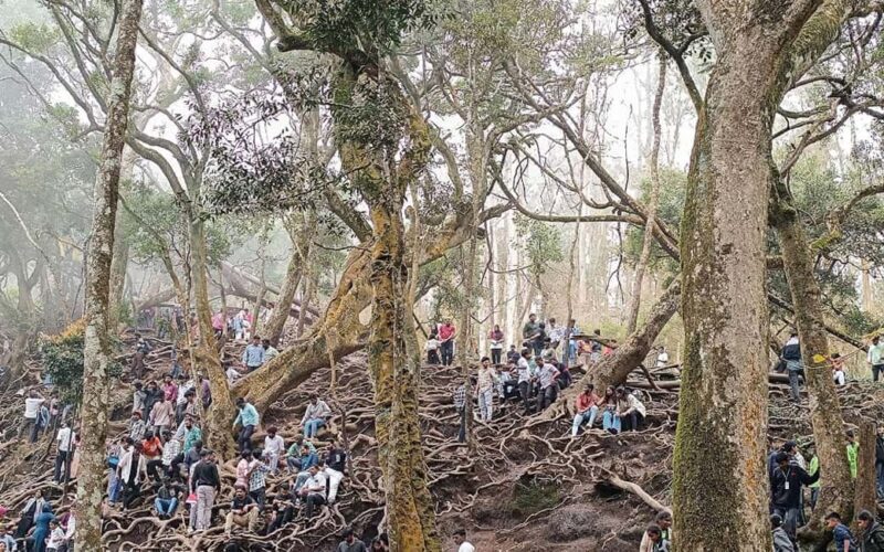 From Madurai: Kumbakarai Falls & Kodaikanal Full-Day Tour - From Madurai: Kumbakarai Falls & Kodaikanal Full-Day Tour