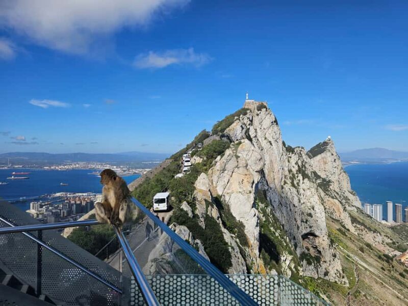From Malaga: Gibraltar and Tangier Private Day Trip - The Value of the Experience