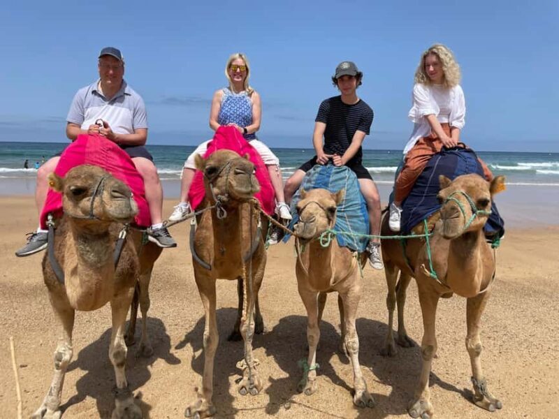 From Malaga: Gibraltar and Tangier Private Day Trip - FAQ