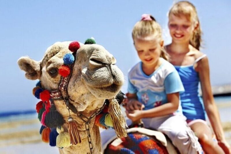 From Malaga: luxury private tour from Malaga to Tangier - Key Points