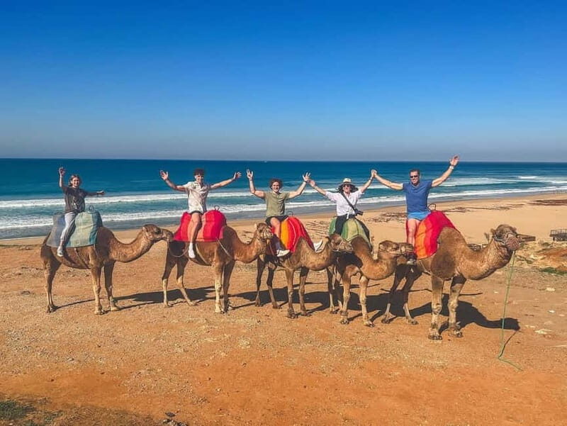 From Malaga: Tangier Day Trip with Ferry, Camel & Souks - The Sum Up: Who Will Love This Tour?