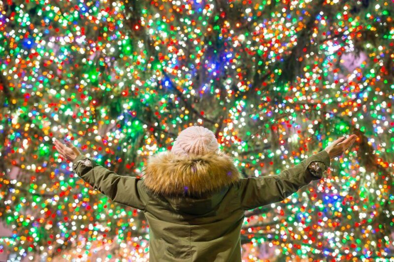 From Manhattan: 4-Hour Christmas Lights Luxury Bus Tour - What Could Be Better?