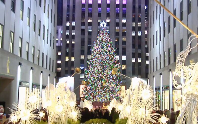 From Manhattan: Dyker Heights Holiday Bus Tour - Transportation and comfort