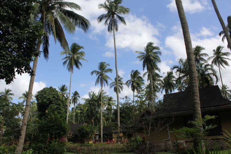 From Manila: Day Tour to Enchanting Hidden Valley - Key Points