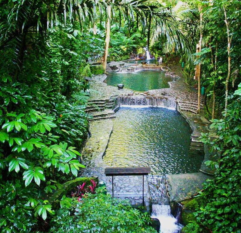 From Manila: Day Tour to Enchanting Hidden Valley - An In-Depth Look at the Hidden Valley Tour